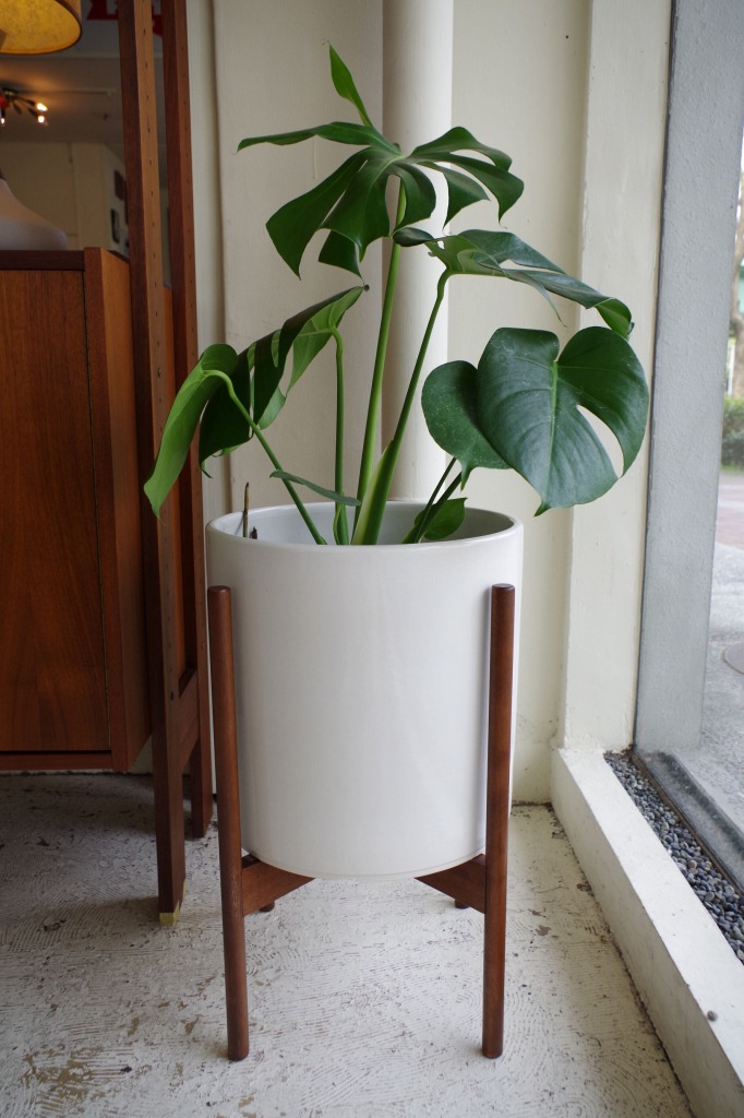 ジャーナルスタンダードファニチャー　植木鉢　イデー　プエブコ　ミッドセンチュリー ミッドセンチュリーデザイン、「カリフォルニア」で生まれた