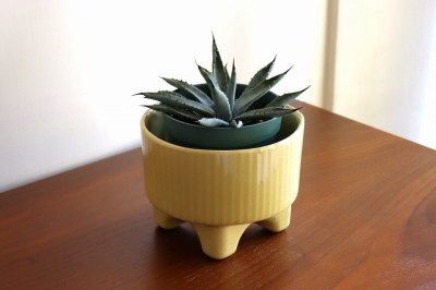 ポタリープランター