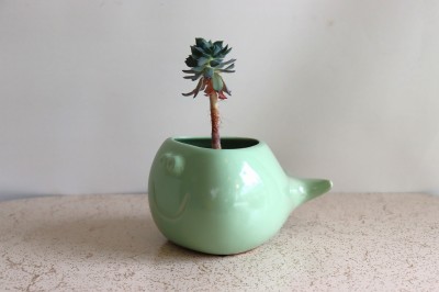 おさかなポタリープランター